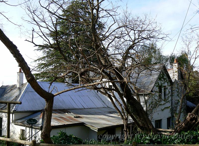 'The Cedars', Hans Heysen's House, near Hahndorf P1080719.JPG